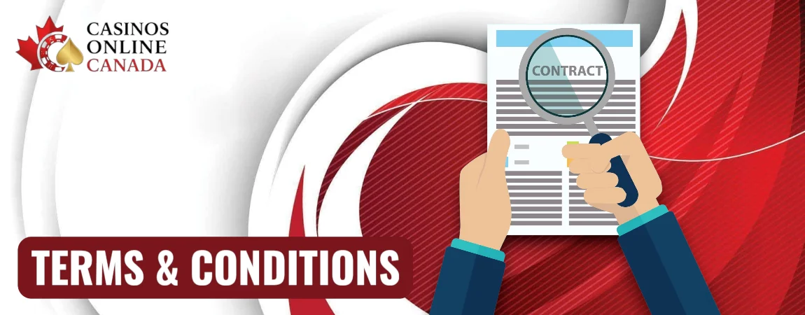 Terms Conditions